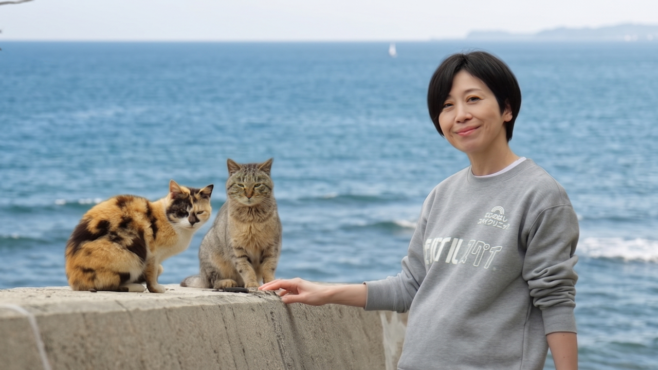 海辺で地域猫とともに立つNICOX代表獣医師の髙橋葵