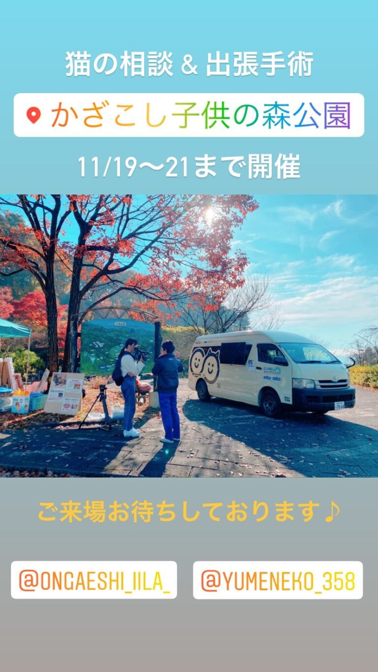 長野県飯田市での活動