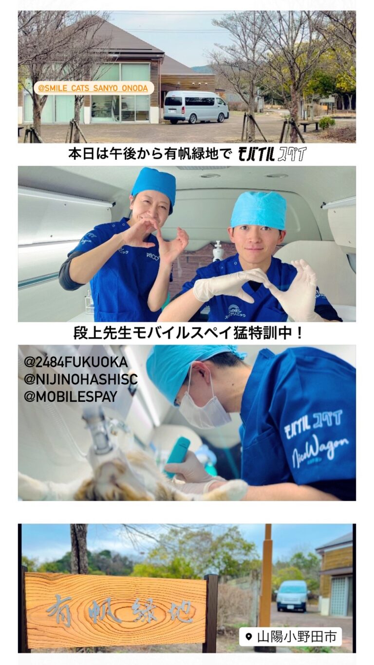 山口県山陽小野田市での活動