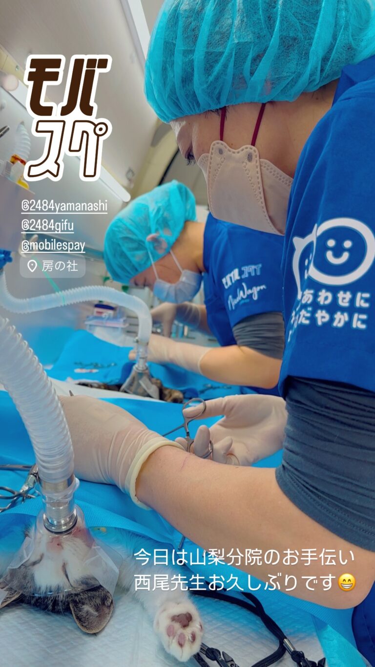 静岡県菊川市での活動