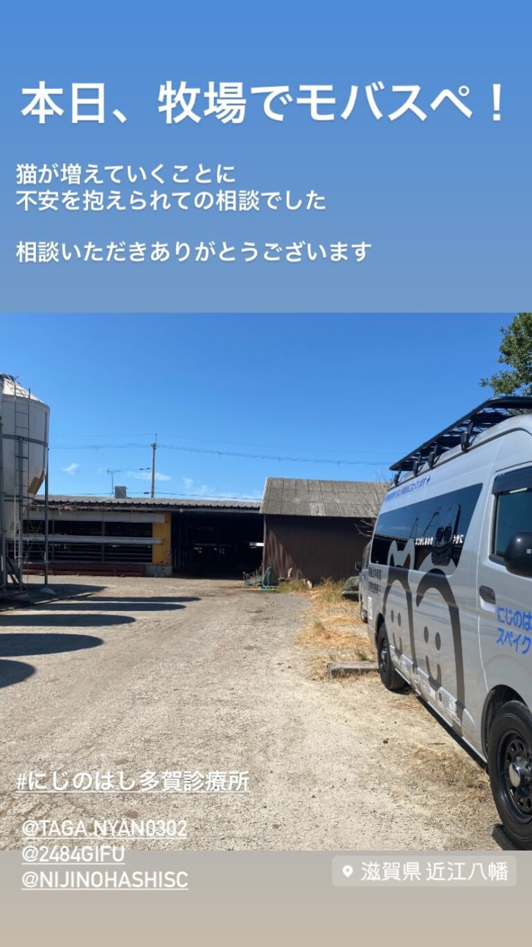 滋賀県近江八幡市での活動
