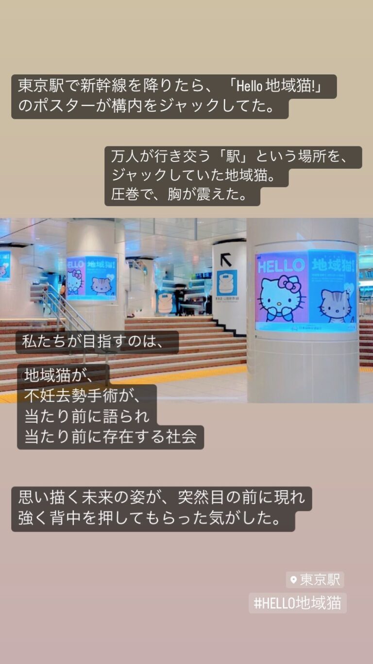 東京都千代田区での活動