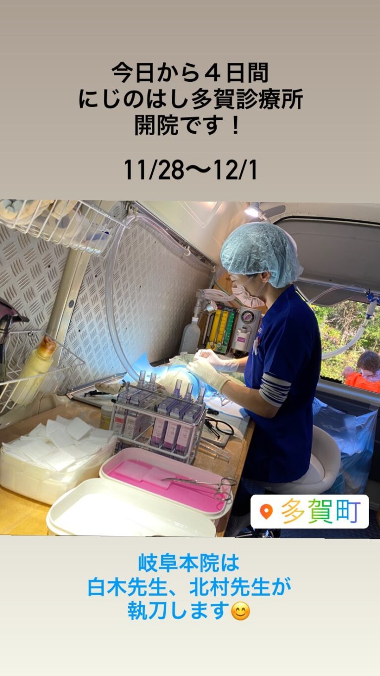 滋賀県多賀町での活動