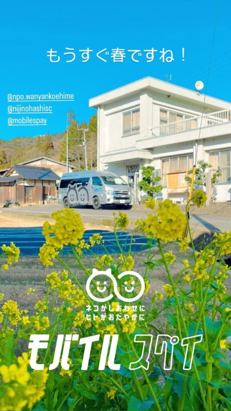 愛媛県松山市での活動