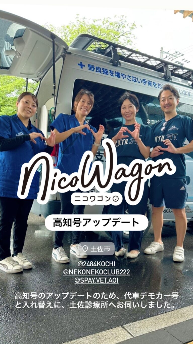 高知県土佐市での活動