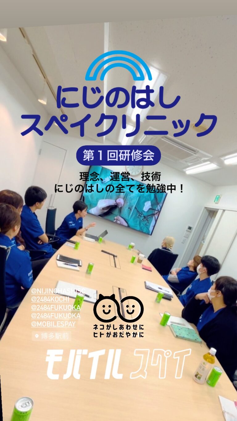 福岡県福岡市での活動