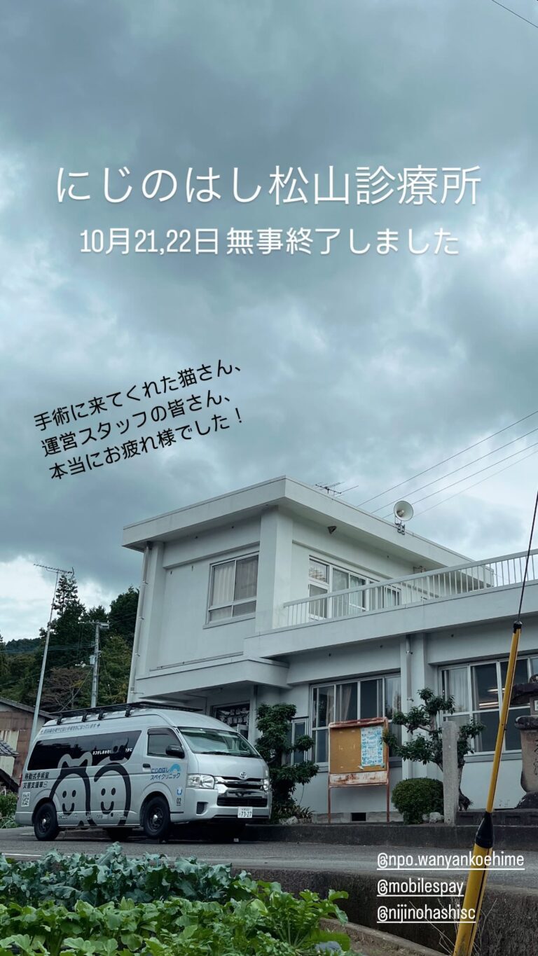 愛媛県松山市での活動