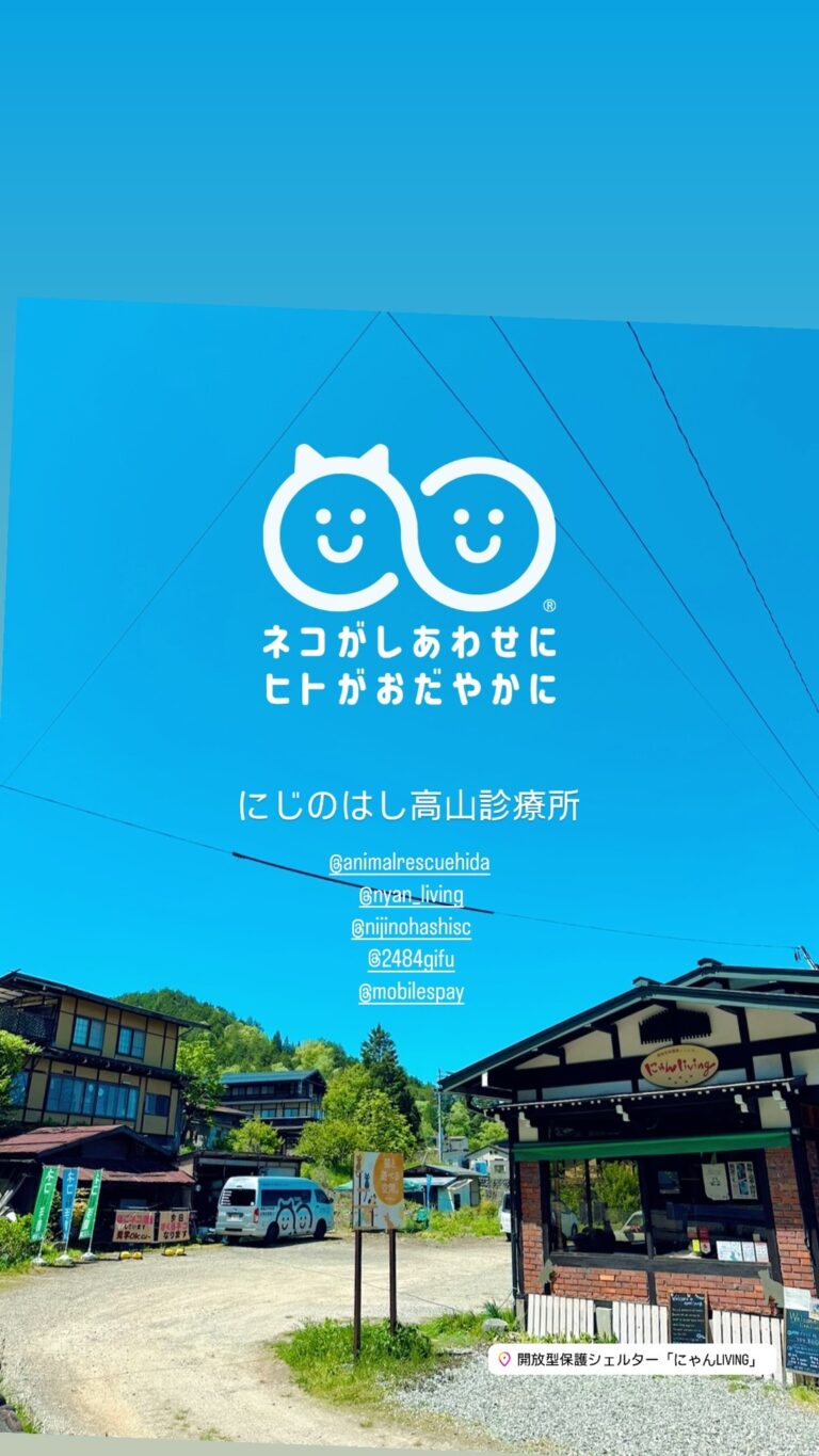 岐阜県高山市での活動