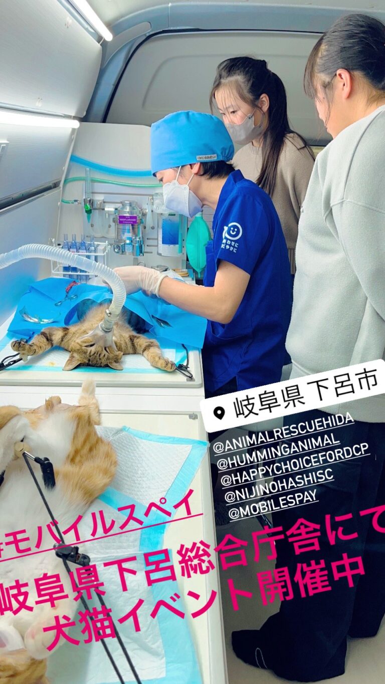 岐阜県下呂市での活動