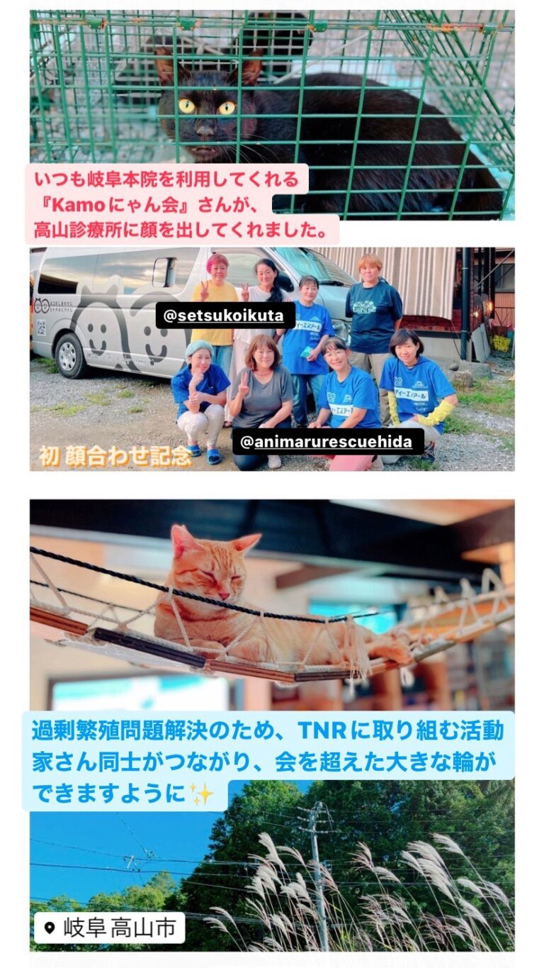 岐阜県高山市での活動