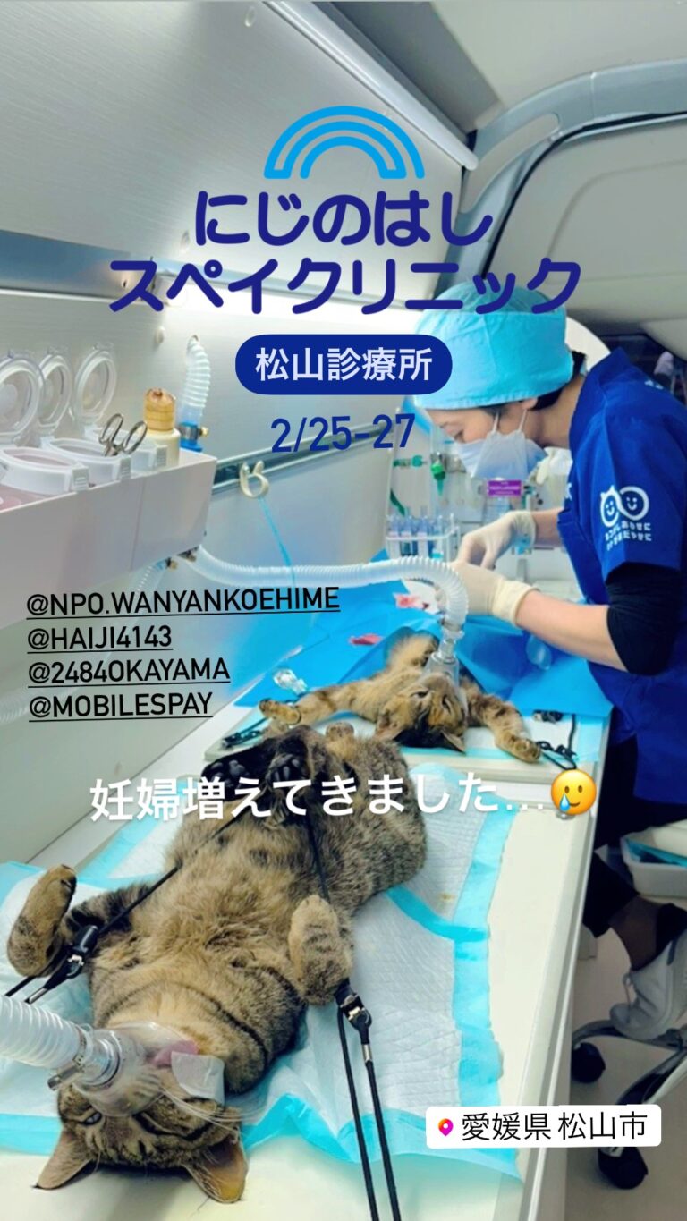 愛媛県松山市での活動