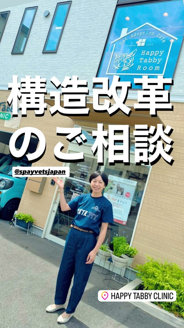 大阪府八尾市での活動